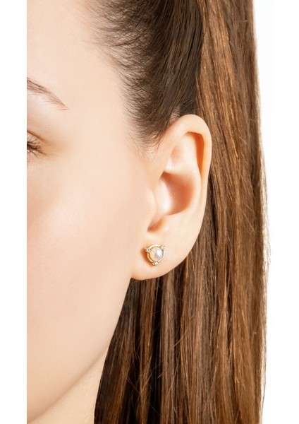 Diamond Collection 14 K Sarı Altın 0,07 Karat Pırlanta Doğal Inci Küpe fiyatları