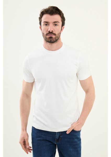 Desenli Slim Fit Bisiklet Yaka Erkek T-Shirt