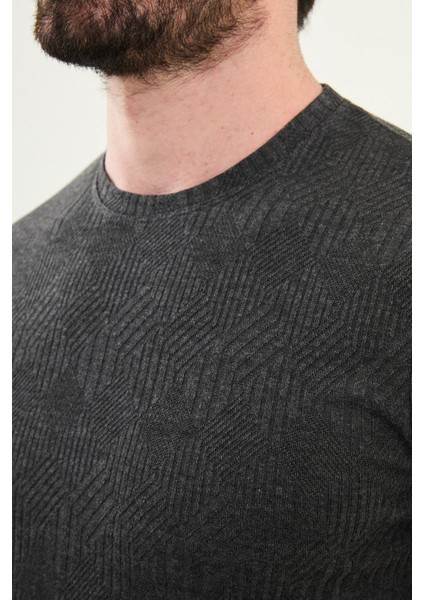 Desenli Antrasit Slim Fit Bisiklet Yaka Erkek T-Shirt fiyatları