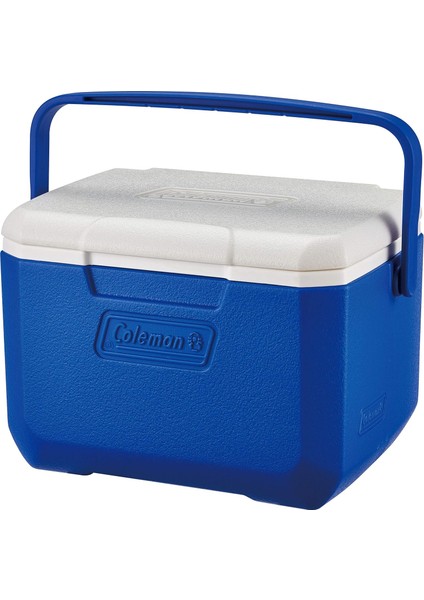 Cooler Box Combo 3'lü Set, Poly-Lite 48QT + Performance Serisi 6 Kişilik Cooler, 0,5 Litre S fiyatları