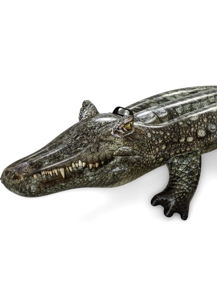 Piscina Y Playa Baby Boy Havuz modelleri