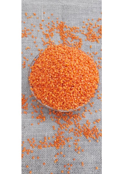 Kırmızı Mercimek Yerli Köy Mahsulü 2kg fiyatları