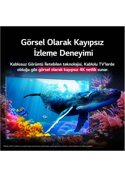 65QNED9MA6B 65'' 165 Ekran Uydu Alıcılı 4K Ultra HD webOS QNED TV