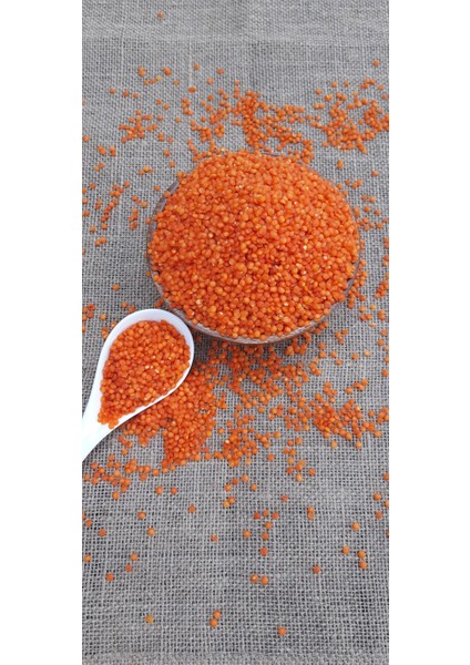 Kırmızı Mercimek Yerli Köy Mahsulü 1 kg