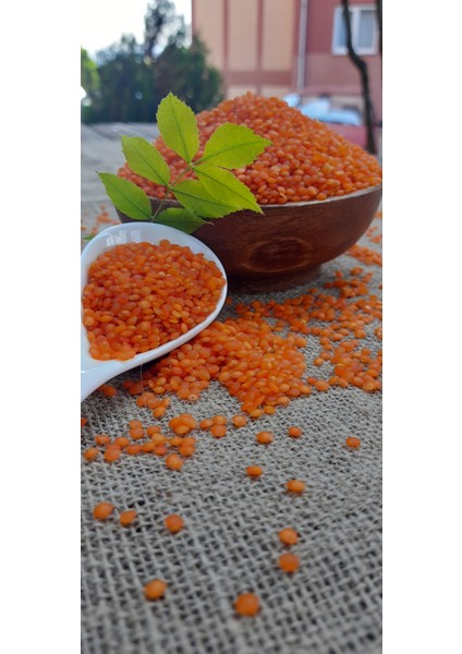 Kırmızı Mercimek Yerli Köy Mahsulü 1 kg modelleri