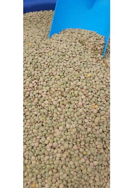Yeşil Mercimek Köy Mahsulü 1 kg fırsatları