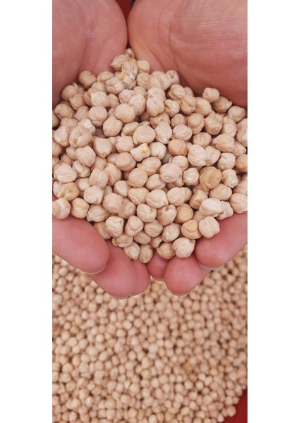 Nohut Köy Mahsulü Katkısız 1 kg modelleri