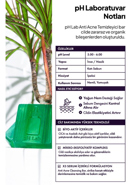 Anti Acne Sabun 50 g – CICA, Azelaik Asit, Macadamia ve Seramid NP İçeren, Sivilce Karşıtı Yüz ve Vücut Sabunu, Tüm Cilt Tipleri