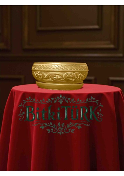 -Altlıklı Beton Bonsai Çiçek Saksısı Ofis Salon Hediye