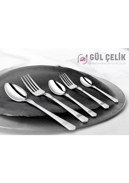 60 Parça 12 Kişilik 18/10 Çatal Kaşık Seti Alvina Model Lüx 304 fiyatları