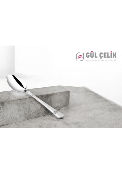 60 Parça 12 Kişilik 18/10 Çatal Kaşık Seti Alvina Model Lüx 304