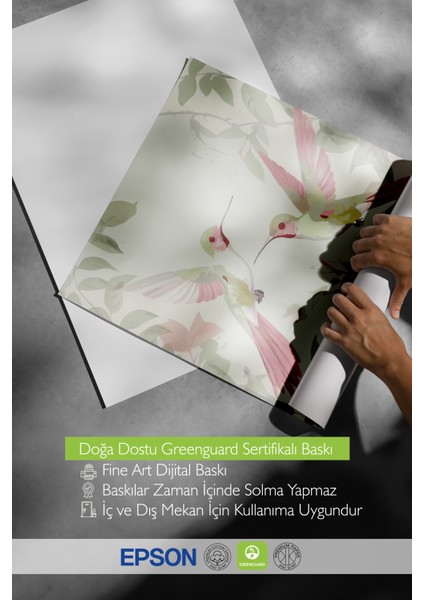 Çerçevesiz Poster, Doğa ve Kuş Illüstrasyonu, Yatak Odası Dekoru Poster No: 112547