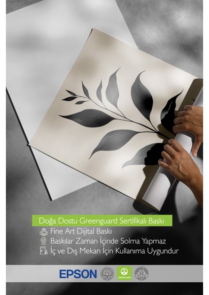 Çerçevesiz Poster, Minimal Yaprak Silueti – Siyah Beyaz, Ofis Dekoru Poster No: 112671