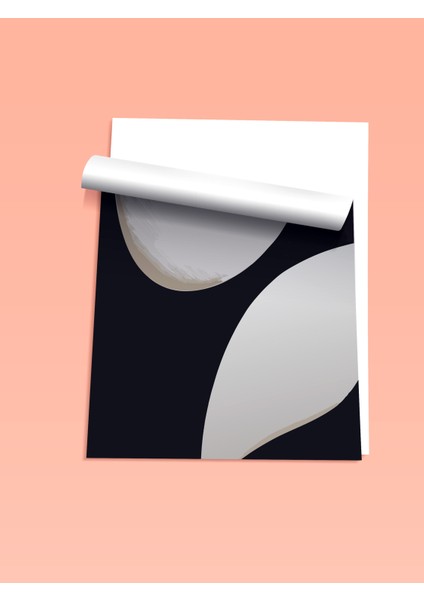 Çerçevesiz Poster, Minimal Siyah Beyaz Formlar, Ofis Dekoru Poster No: 112609 fiyatları