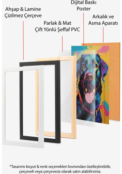Çerçevesiz Poster, Renkli Köpek Portresi – Pop Art, Genç Odası Dekoru Poster No: 112569 indirimleri