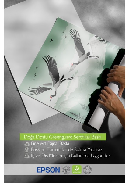 Çerçevesiz Poster, Uçan Turnalar – Doğa Manzarası, Salon Dekoru Poster No: 112673