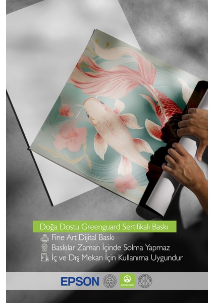 Çerçevesiz Poster, Koi Balıkları Illüstrasyonu, Salon Dekoru Poster No: 112383