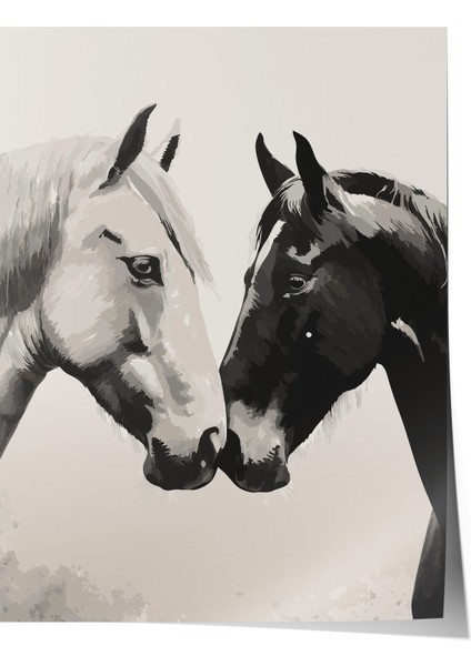 Çerçevesiz Poster, At Sevgisi – Siyah Beyaz Sanat, Salon Dekoru Poster No: 112564