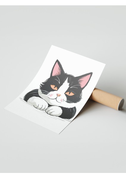 Çerçevesiz Poster, Siyah Beyaz Tuxedo Kedi, Genç Odası Dekoru Poster No: 112477 modelleri