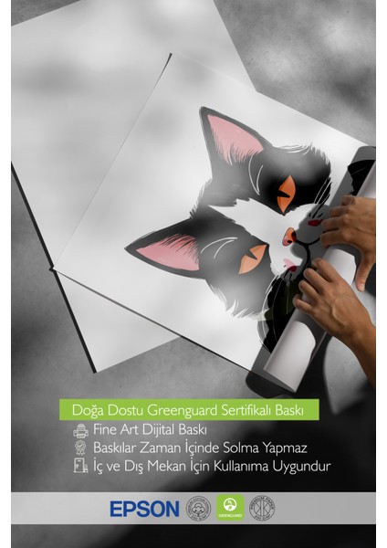 Çerçevesiz Poster, Siyah Beyaz Tuxedo Kedi, Genç Odası Dekoru Poster No: 112477