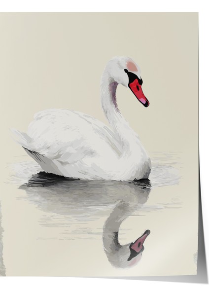 Çerçevesiz Poster, Beyaz Kuğu ve Yansıma, Yatak Odası Dekoru Poster No: 112421