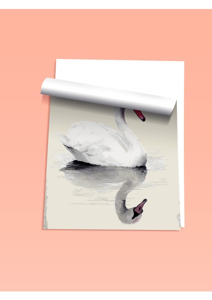 Çerçevesiz Poster, Beyaz Kuğu ve Yansıma, Yatak Odası Dekoru Poster No: 112421 fiyatları