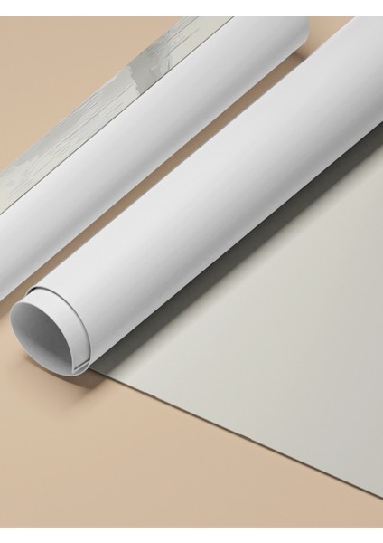 Çerçevesiz Poster, Beyaz Kuğu ve Yansıma, Yatak Odası Dekoru Poster No: 112421 fırsatları