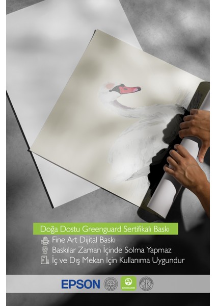 Çerçevesiz Poster, Beyaz Kuğu ve Yansıma, Yatak Odası Dekoru Poster No: 112421