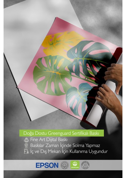 Çerçevesiz Poster, Saksıda Monstera Yaprakları, Salon Dekoru Poster No: 112511