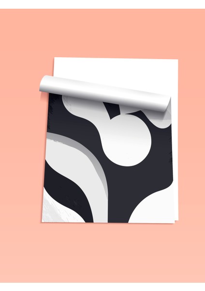 Çerçevesiz Poster, Siyah Beyaz Soyut Formlar, Ofis Dekoru Poster No: 112780 fiyatları