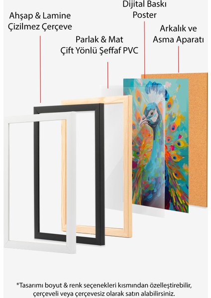 Çerçevesiz Poster, Canlı Renkli Tavuskuşu – Modern Sanat, Salon Dekoru Poster No: 112560 indirimleri