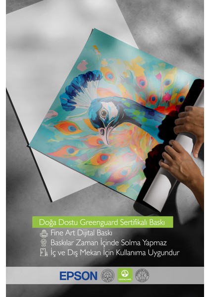 Çerçevesiz Poster, Canlı Renkli Tavuskuşu – Modern Sanat, Salon Dekoru Poster No: 112560