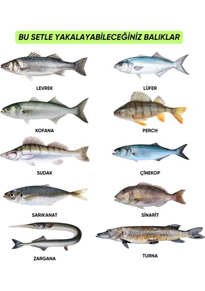 Silikon Spin At-Çek Yem Seti - 70 Parça - Yem Kutulu - Fishack (2003) modelleri