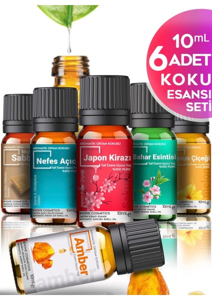Oda Kokusu Renkli Set Uçucu Yağ & Esansiyel Yağ 6'lı Oda Kokusu Buhardanlık ve Difüzör Koku Seti 6X10ML