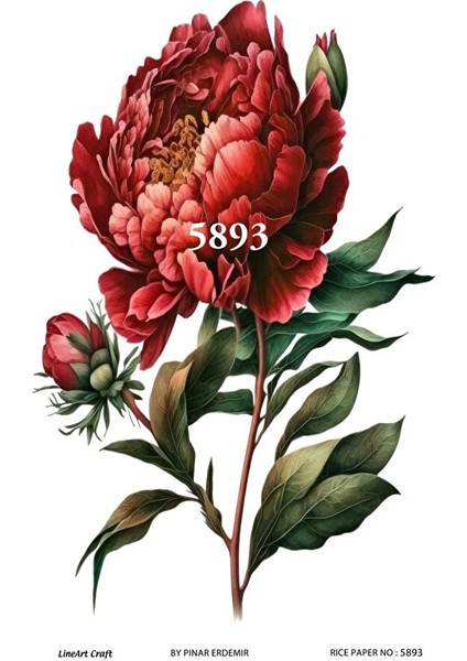 5893 Pirinç Dekopaj 30*42 cm