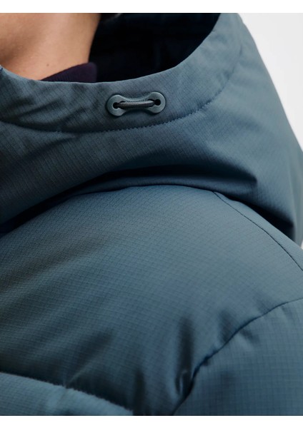 12283517 Puffer Mont