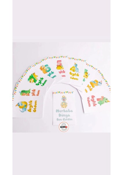 Bebek Anı Kartı modelleri