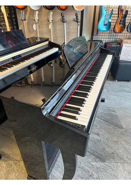 WDP-4927 Dijital Piyano Modern Tasarım Yüksek Ses Performansı modelleri