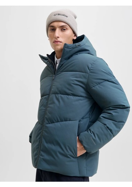 12283517 Puffer Mont