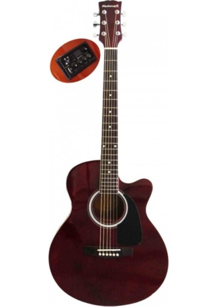 4000CE Elektro Akustik Gitar