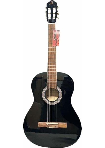 4/4 Gül Klavyeli Gitar