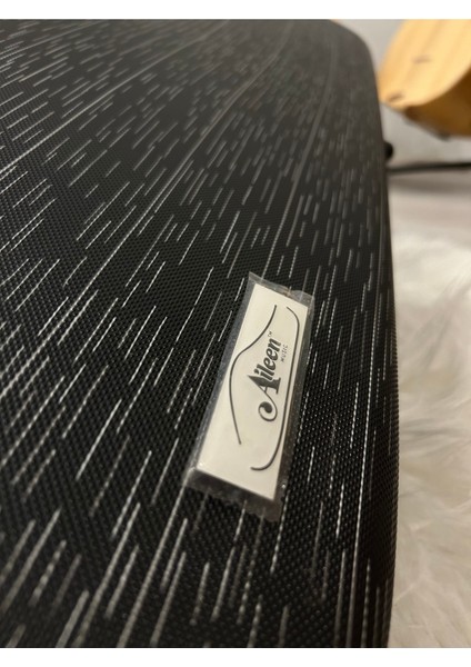 Karbonfiber Kutulu Profesyonel El Yapımı Keman indirimleri