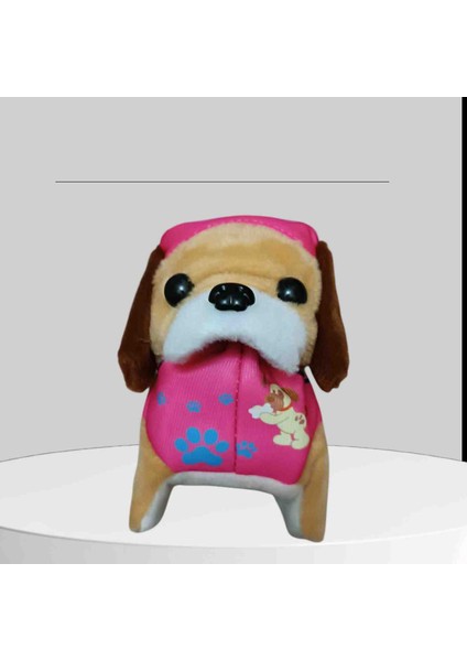 Cetin Pawpetrol fiyatları