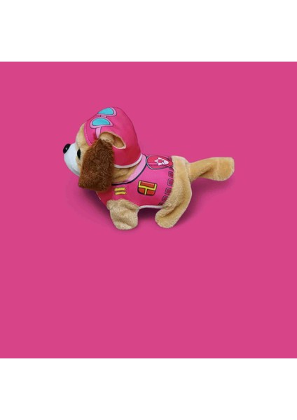 Cetin Pawpetrol modelleri