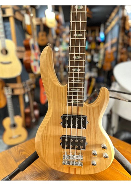 B04-N 4 Telli Bass Gitar fiyatları