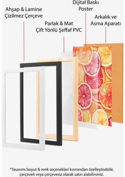 Beyaz Çerçeveli Tablo, Narenciye Dilimleri – Canlı Renkler, Mutfak Dekoru Poster No: 113057 indirimleri