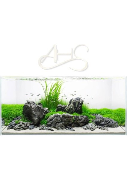 10 kg 04-08 mm Silis Krem Renk Bitki Kumu Akvaryum Kumu 10 kg fiyatları