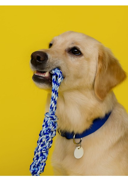 Köpekler Için Diş Ipi 32CM Dayanıklı Sağlam modelleri