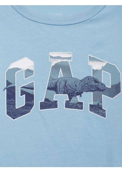 Erkek Çocuk Mavi Grafik Baskılı T-Shirt fiyatları