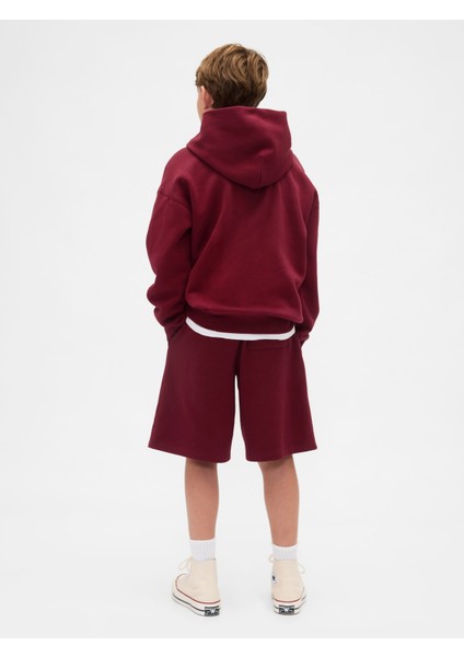 Erkek Çocuk Bordo Vintagesoft Gap Logo Sweatshirt indirimleri